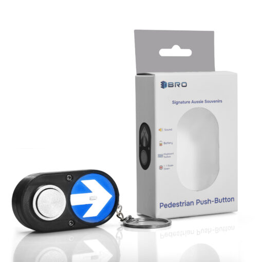 Pedestrian Push-Button With Audio Toy/Key Chain - Image 9