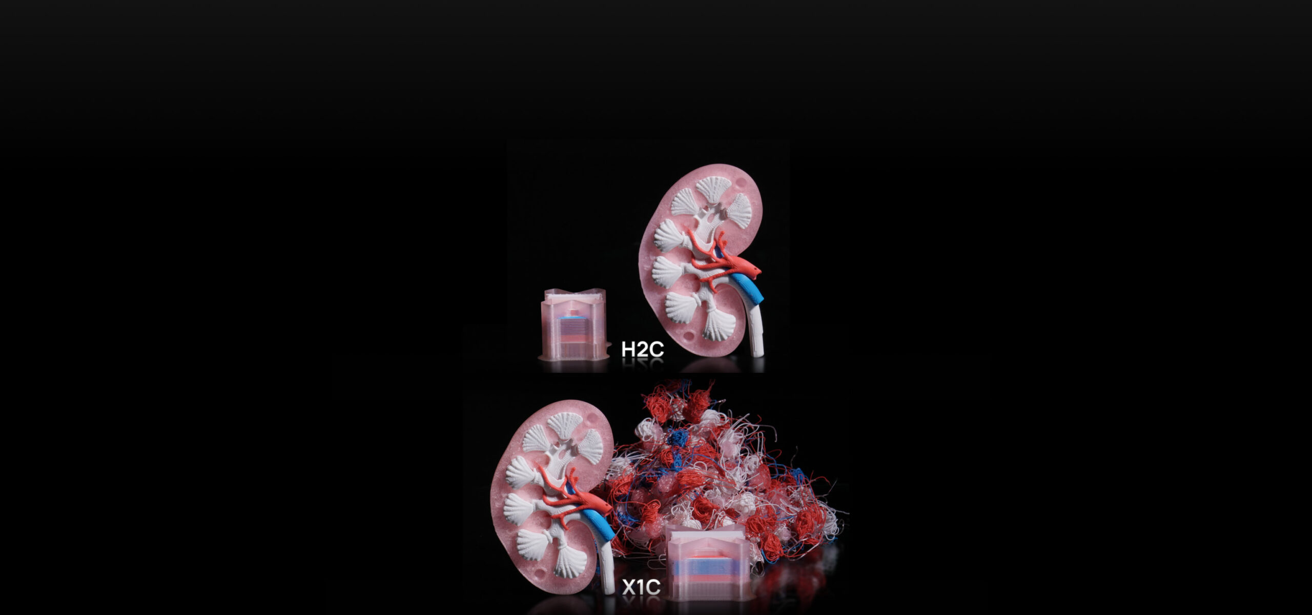 Bambu Lab PF003-C+SA007-AU